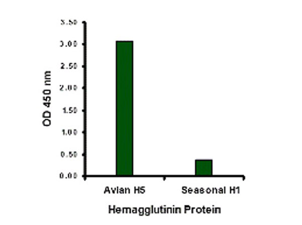 ELISA with Avian Influenza Hemagglutinin